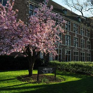 Lubbers Hall on a spring day