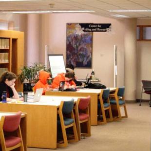 Students study in Van Wylen Library