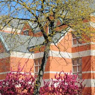 Van Wylen Library on a spring day