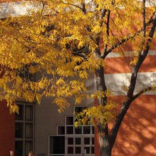 Van Wylen Library on an autumn day