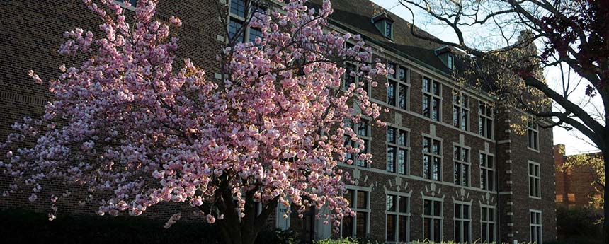 Lubbers hall